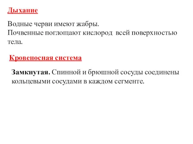 Дыхание Водные черви имеют жабры. Почвенные поглощают кислород всей поверхностью тела.