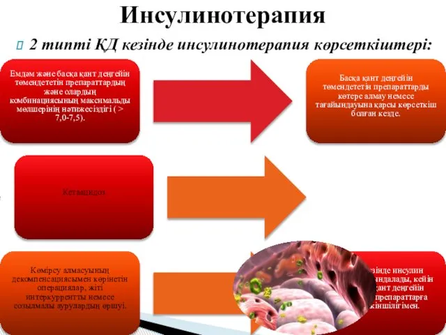 2 типті ҚД кезінде инсулинотерапия көрсеткіштері: Инсулинотерапия Емдәм және басқа қант