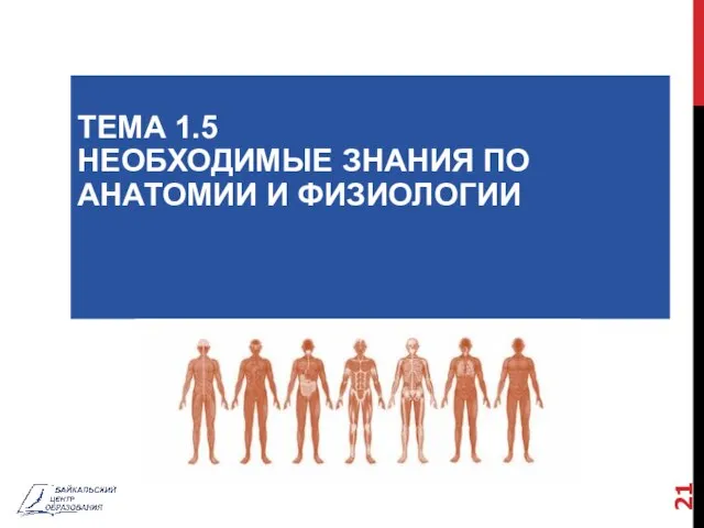 ТЕМА 1.5 НЕОБХОДИМЫЕ ЗНАНИЯ ПО АНАТОМИИ И ФИЗИОЛОГИИ