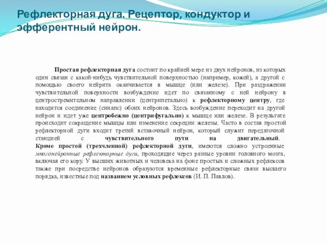 Рефлекторная дуга. Рецептор, кондуктор и эфферентный нейрон. Простая рефлекторная дуга состоит