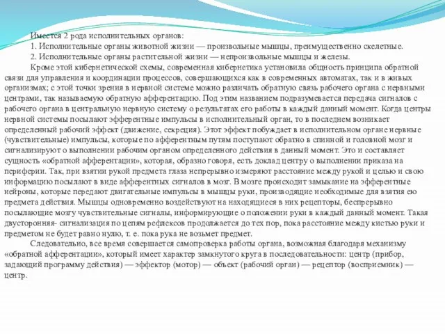 Имеется 2 рода исполнительных органов: 1. Исполнительные органы животной жизни —