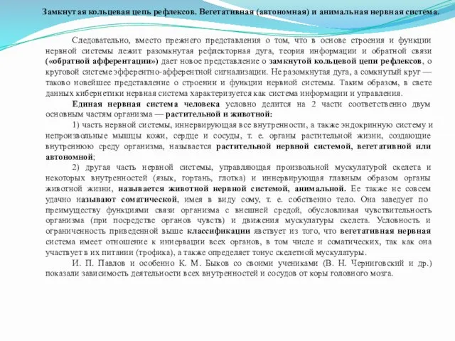 Замкнутая кольцевая цепь рефлексов. Вегетативная (автономная) и анимальная нервная система. Следовательно,