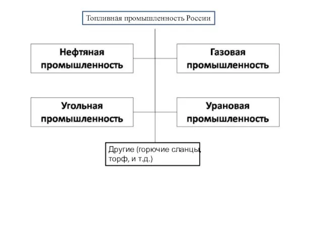 Топливная промышленность России Другие (горючие сланцы, торф, и т.д.)