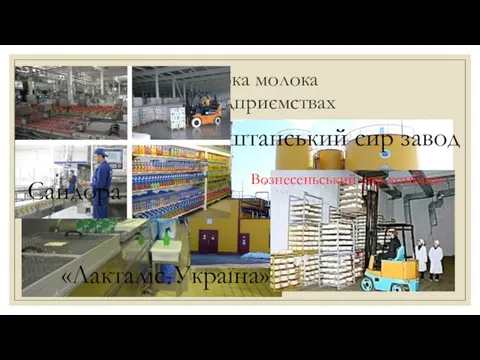 Приймання та переробка молока здійснюються на 16 підприємствах «Лакталіс-Україна» Баштанський сир завод Вознесеньський сир комбінат Сандора