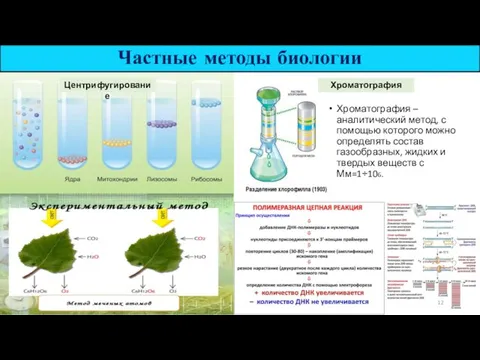 Частные методы биологии Центрифугирование Хроматография Хроматография –аналитический метод, с помощью которого