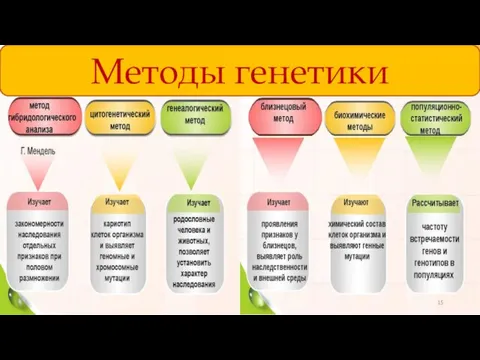 Методы генетики