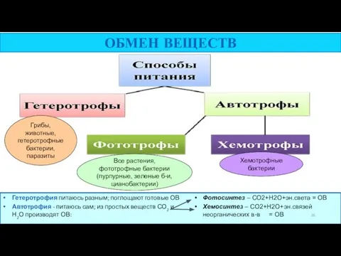 ОБМЕН ВЕЩЕСТВ Все растения, фототрофные бактерии (пурпурные, зеленые б-и, цианобактерии) Грибы,