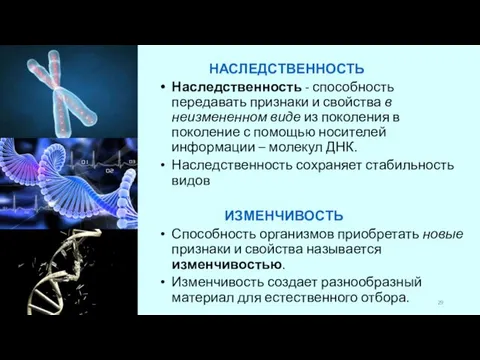 НАСЛЕДСТВЕННОСТЬ Наследственность - способность передавать признаки и свойства в неизмененном виде