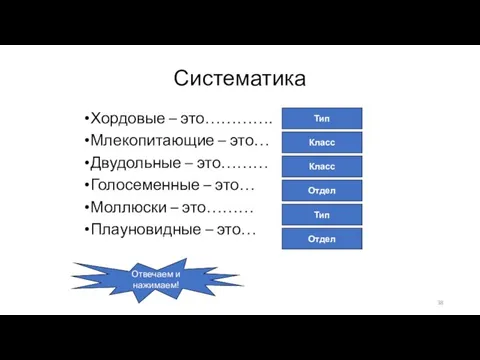 Систематика Хордовые – это…………. Млекопитающие – это… Двудольные – это……… Голосеменные