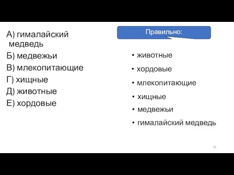 А) гималайский медведь Б) медвежьи В) млекопитающие Г) хищные Д) животные