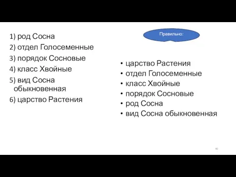 1) род Сосна 2) отдел Голосеменные 3) порядок Сосновые 4) класс