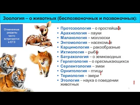 Зоология – о животных (беспозвоночных и позвоночных): Отмеченные разделы часто встречаются
