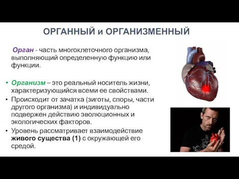 Орган - часть многоклеточного организма, выполняющий определенную функцию или функции. Организм