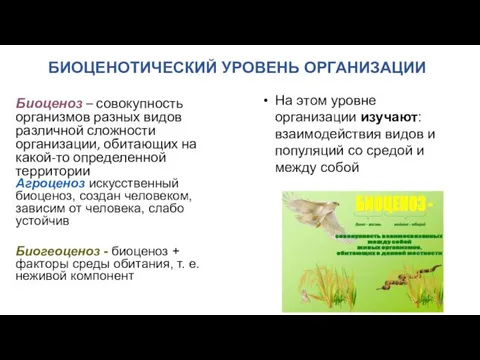 Биоценоз – совокупность организмов разных видов различной сложности организации, обитающих на