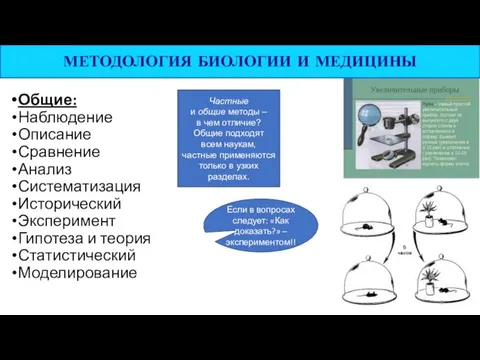 Общие: Наблюдение Описание Сравнение Анализ Систематизация Исторический Эксперимент Гипотеза и теория