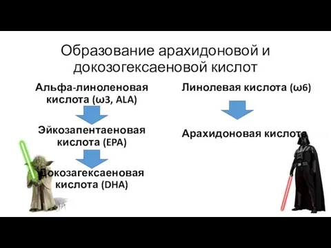 Образование арахидоновой и докозогексаеновой кислот Альфа-линоленовая кислота (ω3, ALA) Эйкозапентаеновая кислота