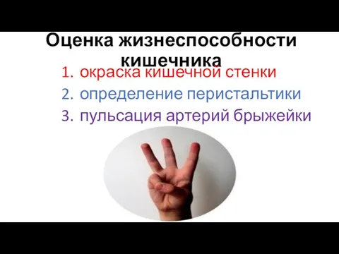 Оценка жизнеспособности кишечника окраска кишечной стенки определение перистальтики пульсация артерий брыжейки