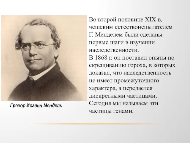 Грегор Иоганн Мендель Во второй половине XIX в. чешским естествоиспытателем Г.