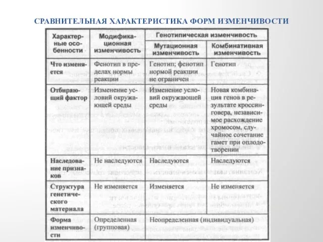 СРАВНИТЕЛЬНАЯ ХАРАКТЕРИСТИКА ФОРМ ИЗМЕНЧИВОСТИ