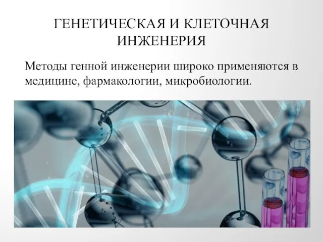 ГЕНЕТИЧЕСКАЯ И КЛЕТОЧНАЯ ИНЖЕНЕРИЯ Методы генной инженерии широко применяются в медицине, фармакологии, микробиологии.
