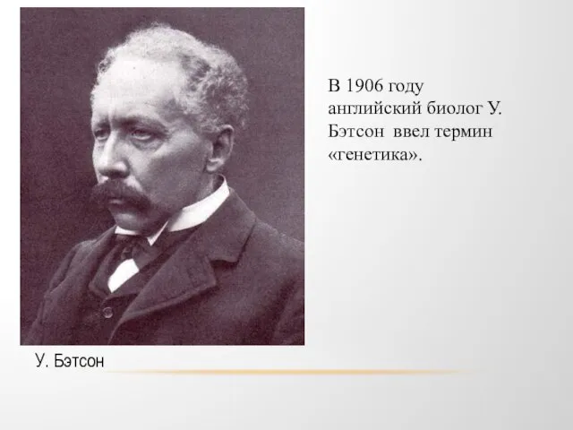 У. Бэтсон В 1906 году английский биолог У. Бэтсон ввел термин «генетика».