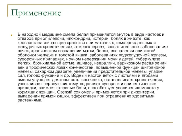 Применение В народной медицине омела белая применяется внутрь в виде настоек