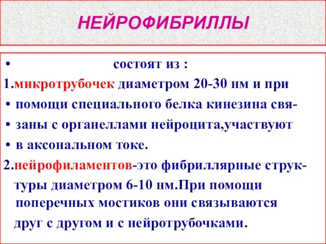 НЕЙРОФИБРИЛЛЫ состоят из : 1.микротрубочек диаметром 20-30 нм и при помощи