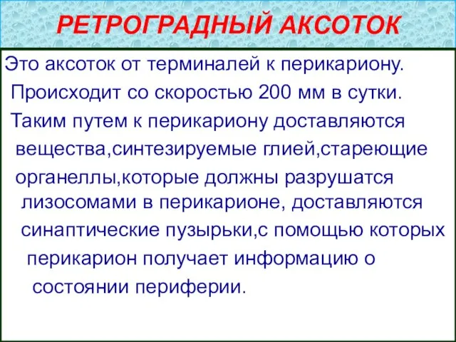 РЕТРОГРАДНЫЙ АКСОТОК Это аксоток от терминалей к перикариону. Происходит со скоростью