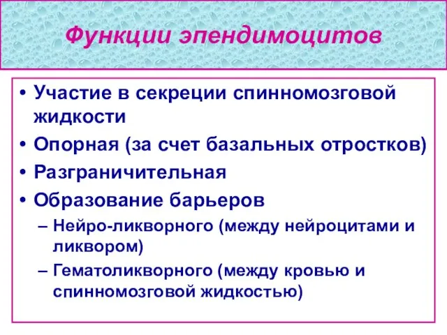 Функции эпендимоцитов Участие в секреции спинномозговой жидкости Опорная (за счет базальных