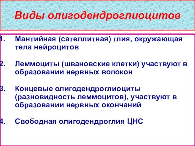 Виды олигодендроглиоцитов Мантийная (сателлитная) глия, окружающая тела нейроцитов Леммоциты (швановские клетки)