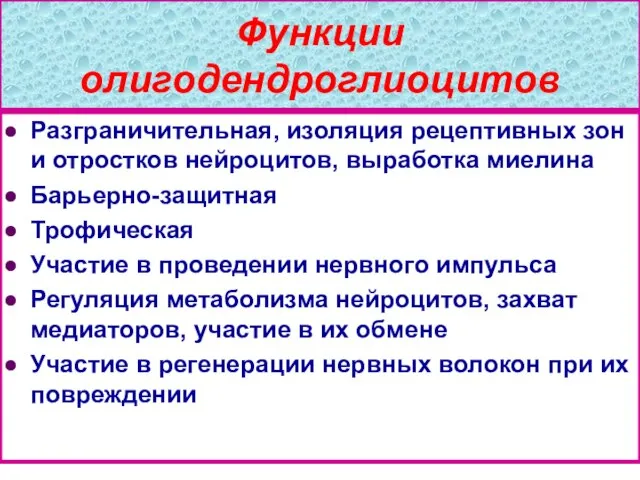 Функции олигодендроглиоцитов Разграничительная, изоляция рецептивных зон и отростков нейроцитов, выработка миелина