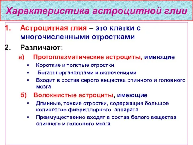 Характеристика астроцитной глии Астроцитная глия – это клетки с многочисленными отростками