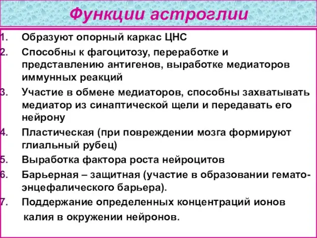 Функции астроглии Образуют опорный каркас ЦНС Способны к фагоцитозу, переработке и