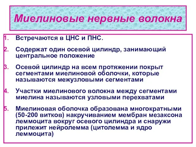 Миелиновые нервные волокна Встречаются в ЦНС и ПНС. Содержат один осевой