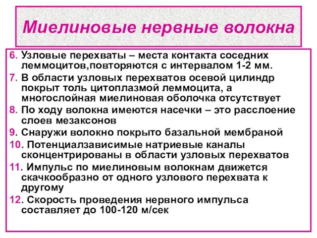 Миелиновые нервные волокна 6. Узловые перехваты – места контакта соседних леммоцитов,повторяются