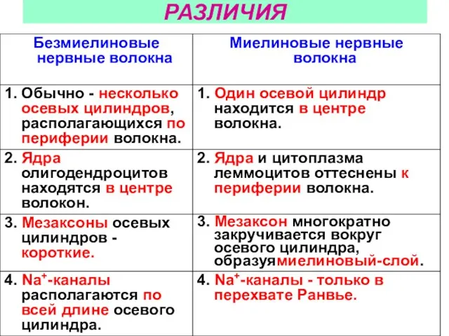 РАЗЛИЧИЯ