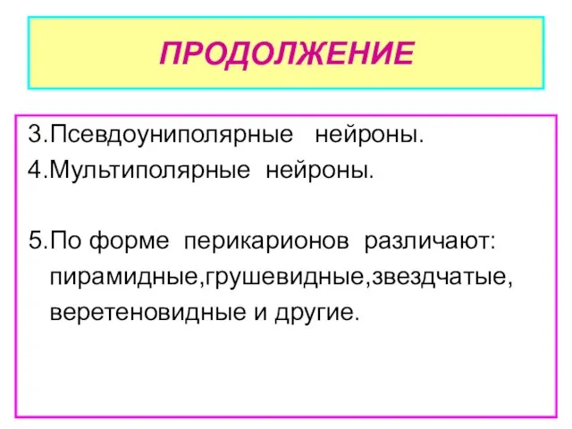 ПРОДОЛЖЕНИЕ 3.Псевдоуниполярные нейроны. 4.Мультиполярные нейроны. 5.По форме перикарионов различают: пирамидные,грушевидные,звездчатые, веретеновидные и другие.