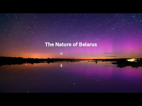 The Nature of Belarus