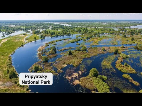 Pripyatsky National Park