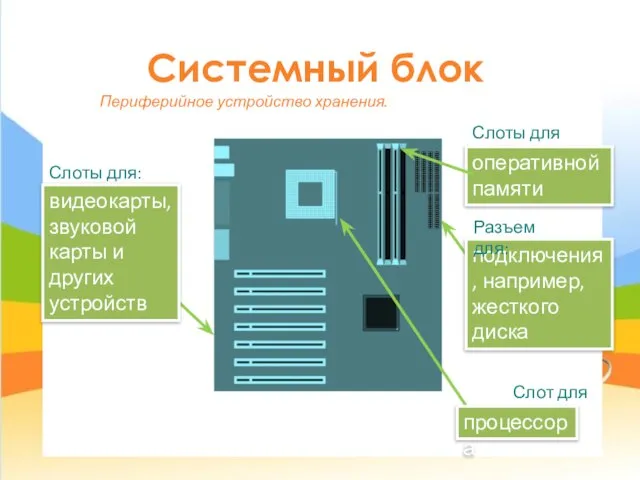 Системный блок Слоты для: видеокарты, звуковой карты и других устройств оперативной
