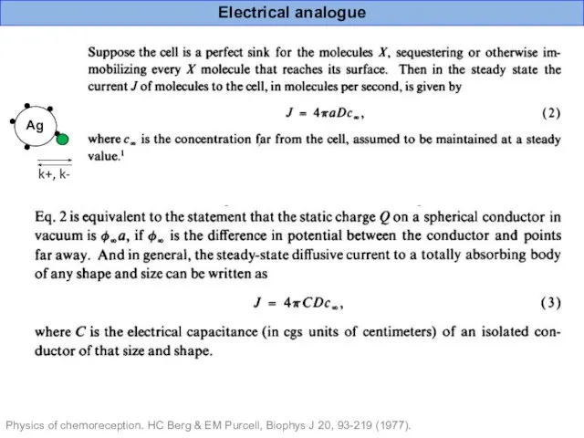 Physics of chemoreception. HC Berg & EM Purcell, Biophys J 20, 93-219 (1977). Electrical analogue