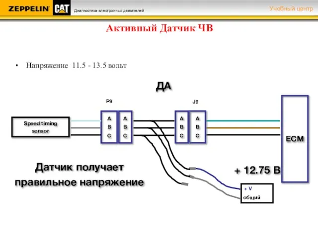 Активный Датчик ЧВ Напряжение 11.5 - 13.5 вольт Speed timing sensor