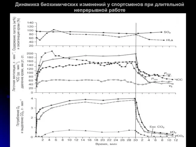 Динамика биохимических изменений у спортсменов при длительной непрерывной работе