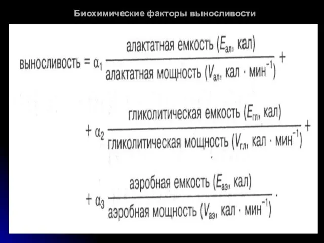 Биохимические факторы выносливости