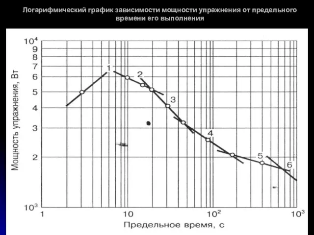 Логарифмический график зависимости мощности упражнения от предельного времени его выполнения