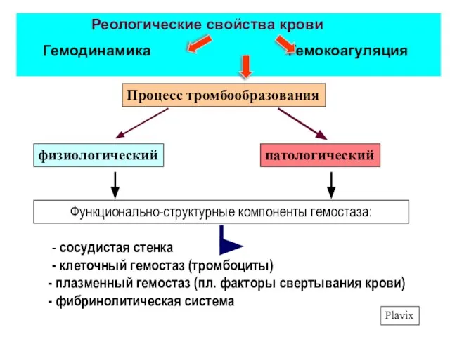 Plavix Процесс тромбообразования патологический физиологический Функционально-структурные компоненты гемостаза: - сосудистая стенка