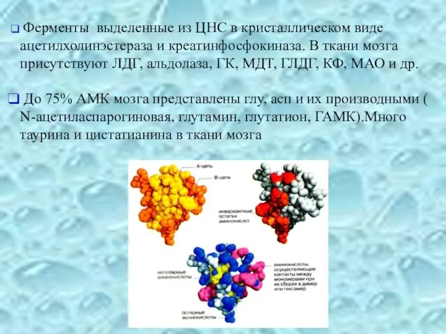 Ферменты выделенные из ЦНС в кристаллическом виде ацетилхолинэстераза и креатинфосфокиназа. В