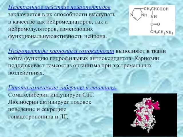 Центральное действие нейропептидов заключается в их способности выступать в качестве как