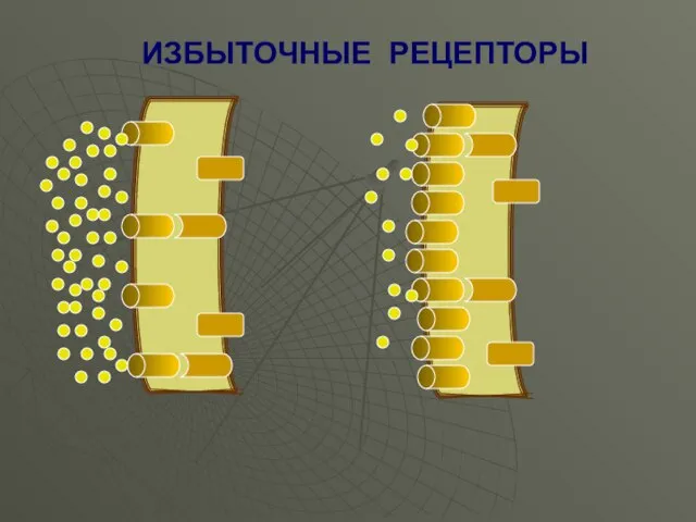 ИЗБЫТОЧНЫЕ РЕЦЕПТОРЫ