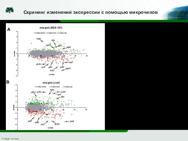 Скрининг изменений экспрессии с помощью микрочипов